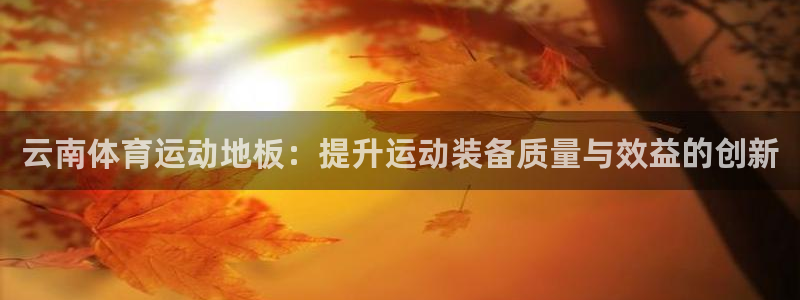意昂2体育2：云南体育运动地板：提升运动装备质量与效益的创新