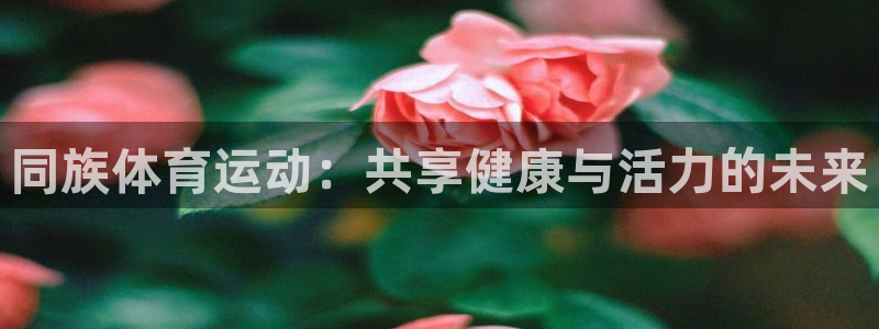 意昂2体育