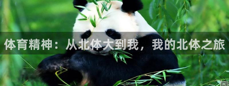 意昂工课