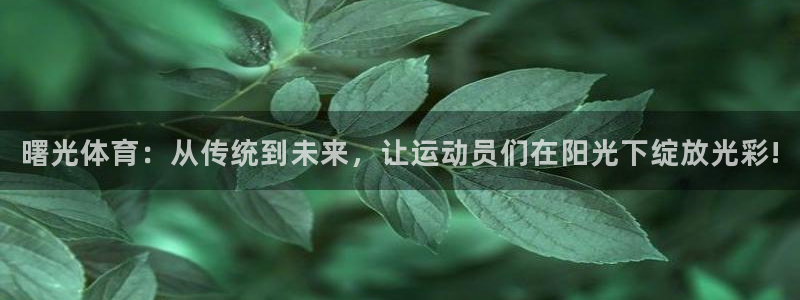 意昂2体育1招商