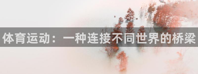意昂2体育：体育运动：一种连接不同世界的桥梁