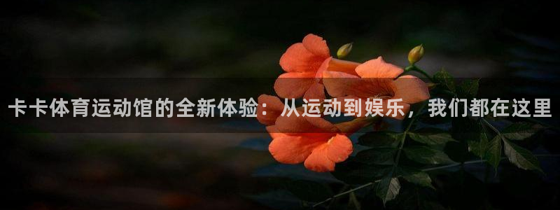 意昂代理：卡卡体育运动馆的全新体验：从运动到娱乐，我们都在这里