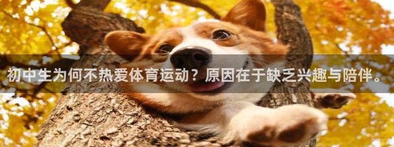 意昂平台登陆：初中生为何不热爱体育运动？原因在于缺乏兴趣与陪伴。