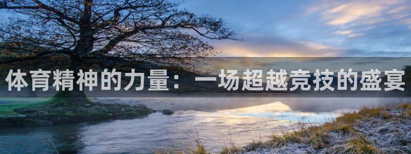 意昂2vk：体育精神的力量：一场超越竞技的盛宴