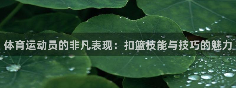 意昂2体育和杏耀是哪个公司的：体育运动员的非凡表现：扣篮技能与技巧的魅力