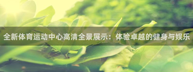 意昂2体育凯捷平台主管：全新体育运动中心高清全景展示：体验卓越的健身与娱乐