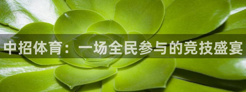 意昂2体育eon：中招体育：一场全民参与的竞技盛宴