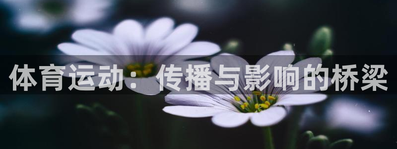 意昂2平台招商：体育运动：传播与影响的桥梁