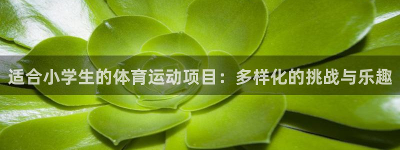 意昂24注册：适合小学生的体育运动项目：多样化的挑战与乐趣