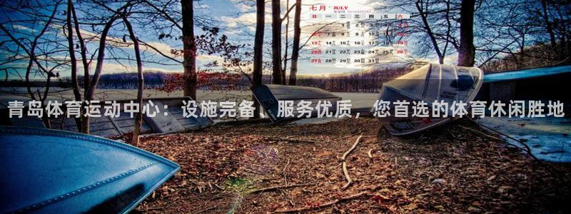 意昂2体育注册代理：青岛体育运动中心：设施完备、服务优质，您首选的体育休闲胜地