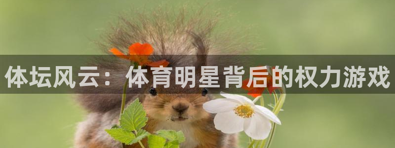 福建意昂2机电股份公司：体坛风云：体育明星背后的权力游戏