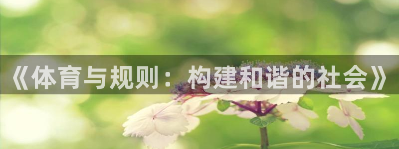 意昂2体育在线注册：《体育与规则：构建和谐的社会》