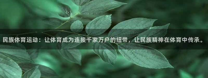 意昂平台注册：民族体育运动：让体育成为连接千家万户的纽带，让民族精神在体育中传承。