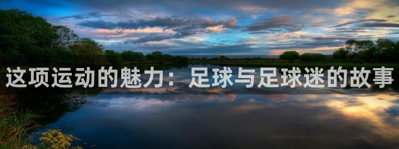 意昂2代理：这项运动的魅力：足球与足球迷的故事