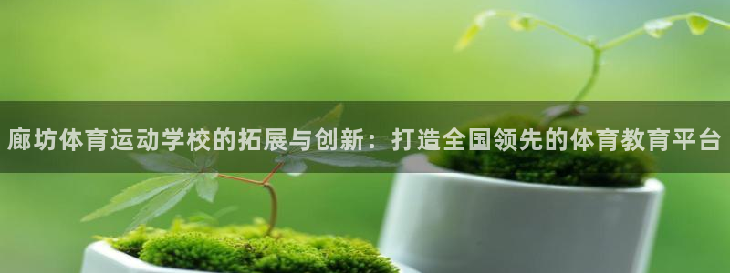 意昂2集团官网：廊坊体育运动学校的拓展与创新：打造全国领先的体育教育平台