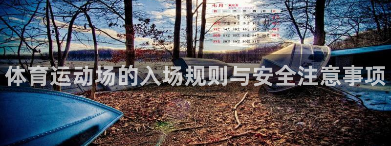 佛山市南海意昂2机电仪器有限公司：体育运动场的入场规则与安全注意事项