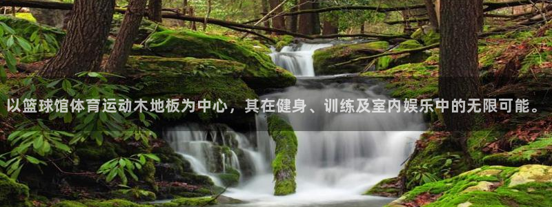 意昂2官网注册：以篮球馆体育运动木地板为中心，其在健身、训练及室内娱乐中的无限可能。