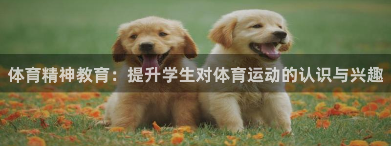 意昂体育3：体育精神教育：提升学生对体育运动的认识与兴趣