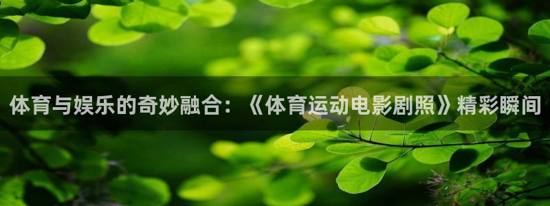 北京意昂科技有限公司：体育与娱乐的奇妙融合：《体育运动电影剧照》精彩瞬间