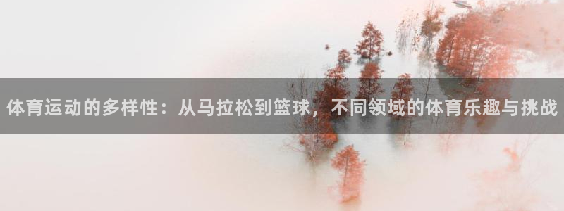 意昂2体育用品：体育运动的多样性：从马拉松到篮球，不同领域的体育乐趣与挑战