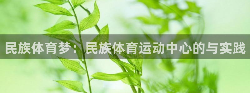 意昂：民族体育梦：民族体育运动中心的与实践