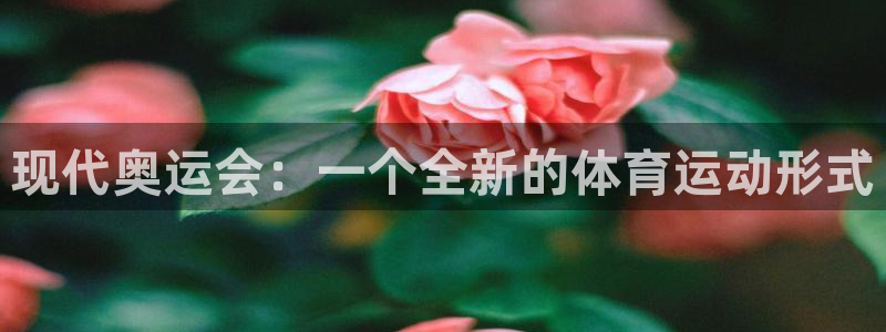 杭州意昂科技有限公司：现代奥运会：一个全新的体育运动形式