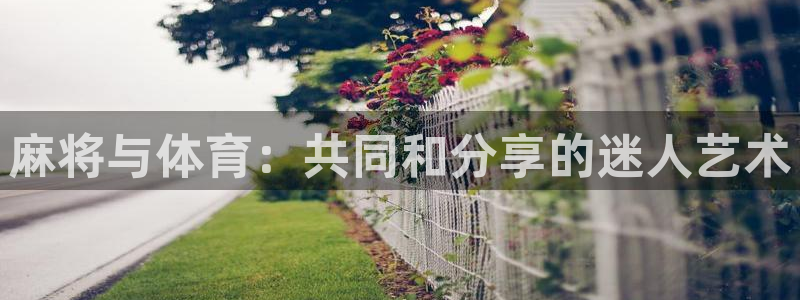 意昂2体育官网注册：麻将与体育：共同和分享的迷人艺术