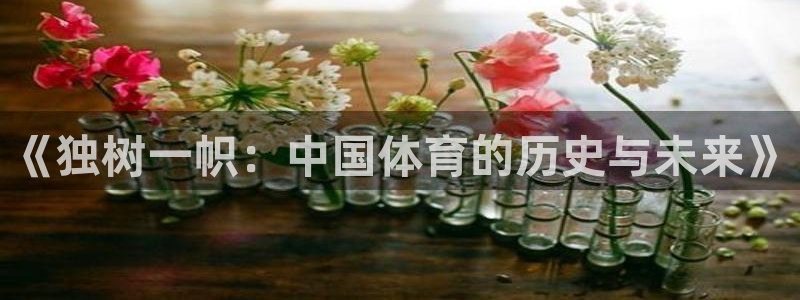 意昂23登陆：《独树一帜：中国体育的历史与未来》