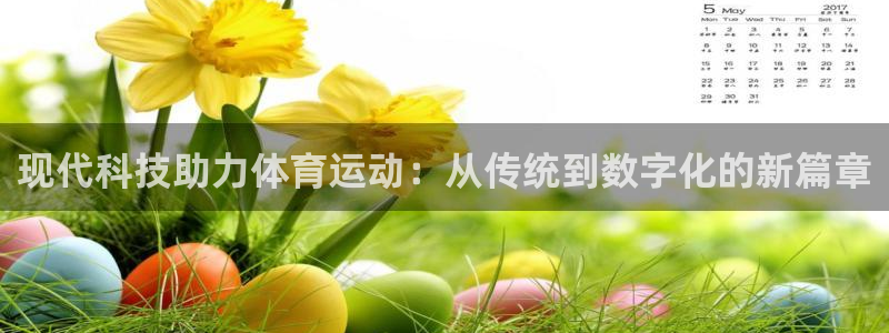 杭州意昂科技有限公司：现代科技助力体育运动：从传统到数字化的新篇章