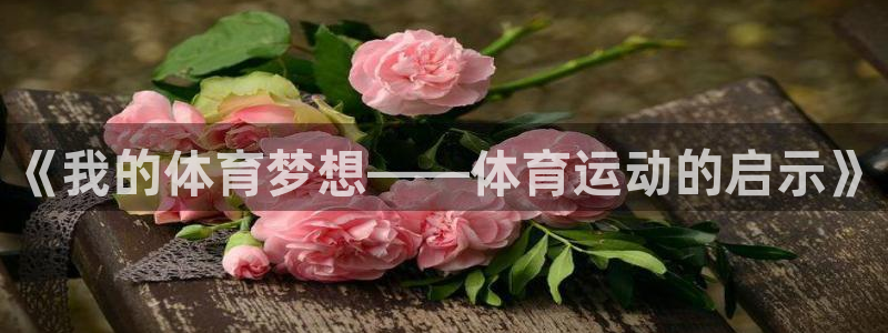 意昂22平台：《我的体育梦想——体育运动的启示》